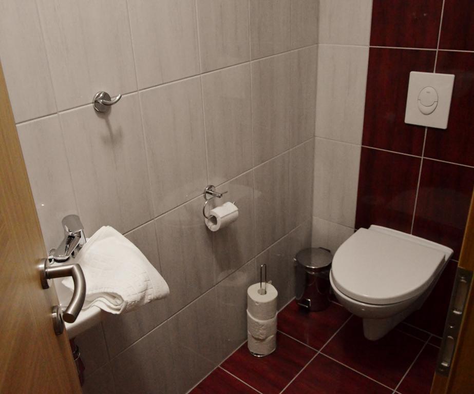Apartamento Turisticna Kmetija Cebelji Gradic Rogašovci Exterior foto